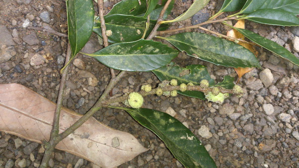 «ö¦¹¦b·sµøµ¡ÂsÄý¹Ï¤ù