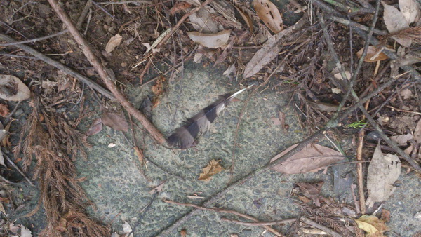 «ö¦¹¦b·sµøµ¡ÂsÄý¹Ï¤ù