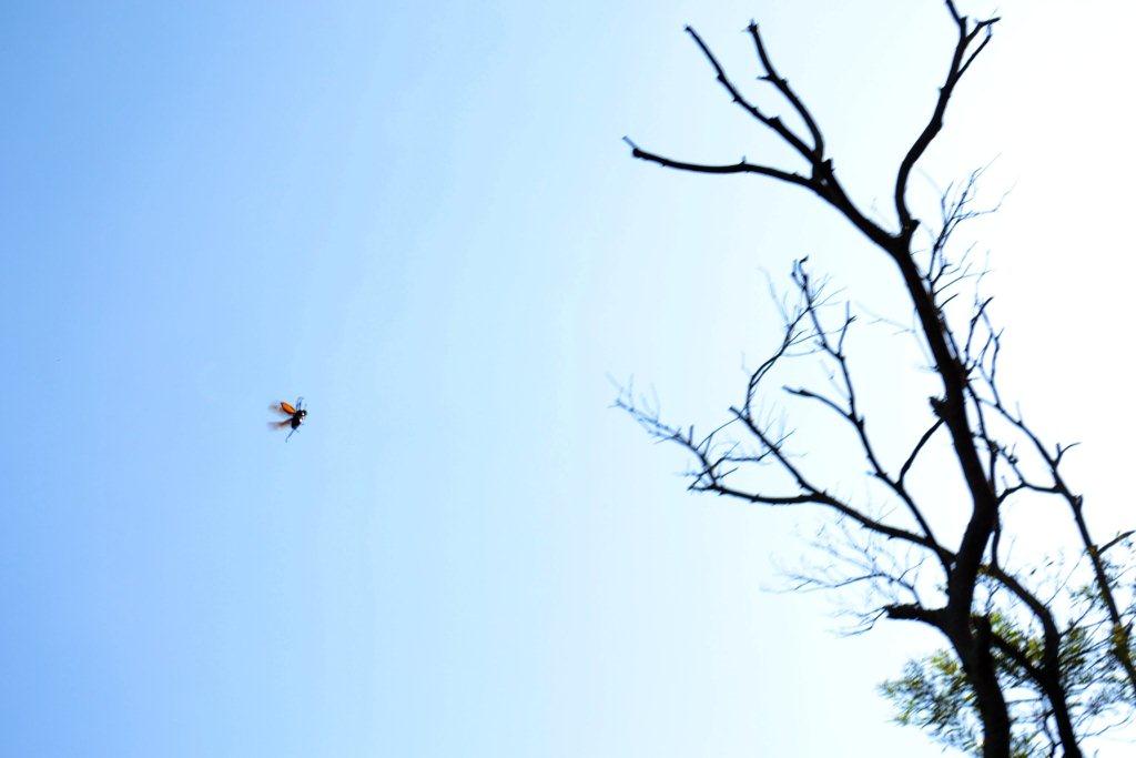 «ö¦¹¦b·sµøµ¡ÂsÄý¹Ï¤ù