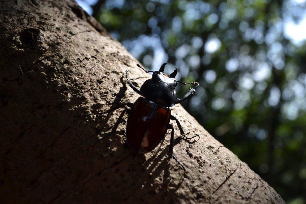 «ö¦¹¦b·sµøµ¡ÂsÄý¹Ï¤ù