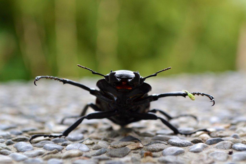 «ö¦¹¦b·sµøµ¡ÂsÄý¹Ï¤ù