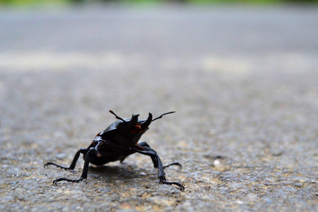 «ö¦¹¦b·sµøµ¡ÂsÄý¹Ï¤ù