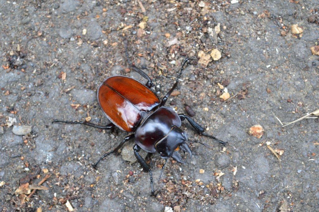 «ö¦¹¦b·sµøµ¡ÂsÄý¹Ï¤ù