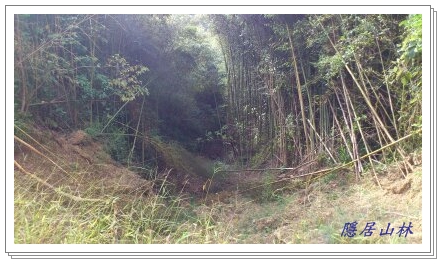 «ö¦¹¦b·sµøµ¡ÂsÄý¹Ï¤ù