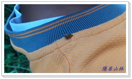 «ö¦¹¦b·sµøµ¡ÂsÄý¹Ï¤ù