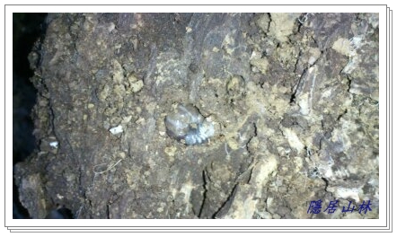 «ö¦¹¦b·sµøµ¡ÂsÄý¹Ï¤ù