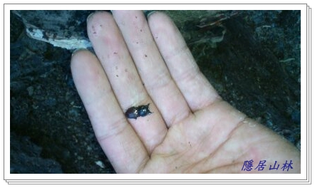 «ö¦¹¦b·sµøµ¡ÂsÄý¹Ï¤ù