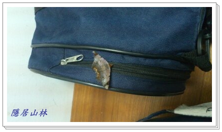 «ö¦¹¦b·sµøµ¡ÂsÄý¹Ï¤ù