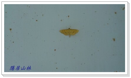 «ö¦¹¦b·sµøµ¡ÂsÄý¹Ï¤ù