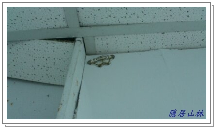 «ö¦¹¦b·sµøµ¡ÂsÄý¹Ï¤ù