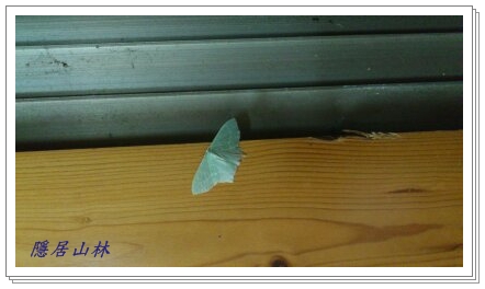 «ö¦¹¦b·sµøµ¡ÂsÄý¹Ï¤ù