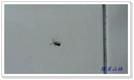 «ö¦¹¦b·sµøµ¡ÂsÄý¹Ï¤ù