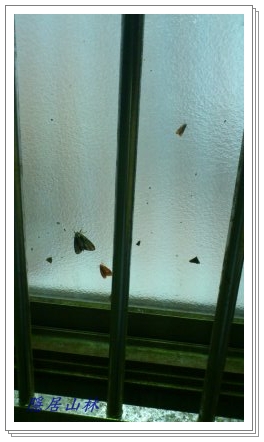 «ö¦¹¦b·sµøµ¡ÂsÄý¹Ï¤ù