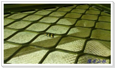 «ö¦¹¦b·sµøµ¡ÂsÄý¹Ï¤ù