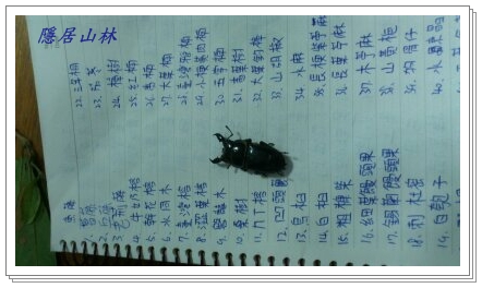 «ö¦¹¦b·sµøµ¡ÂsÄý¹Ï¤ù