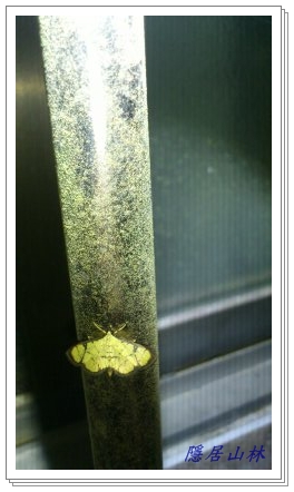 «ö¦¹¦b·sµøµ¡ÂsÄý¹Ï¤ù