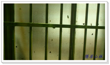 «ö¦¹¦b·sµøµ¡ÂsÄý¹Ï¤ù