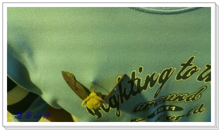 «ö¦¹¦b·sµøµ¡ÂsÄý¹Ï¤ù