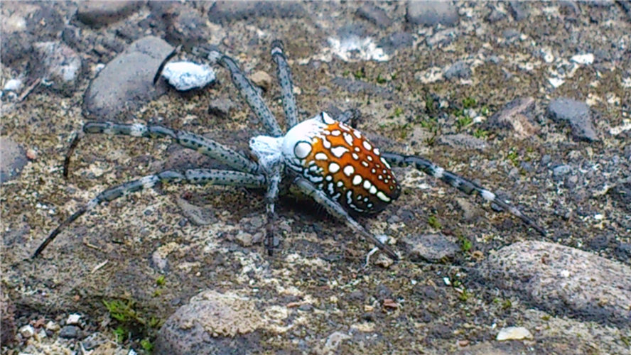 «ö¦¹¦b·sµøµ¡ÂsÄý¹Ï¤ù