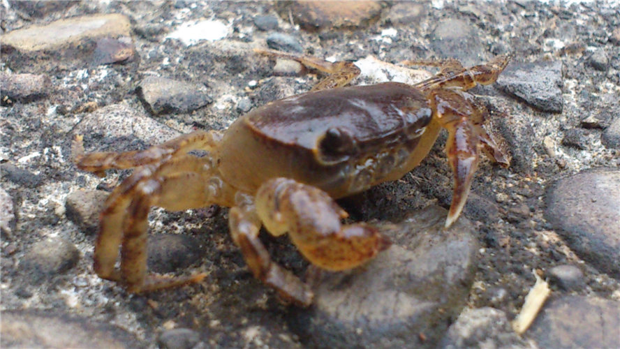 «ö¦¹¦b·sµøµ¡ÂsÄý¹Ï¤ù