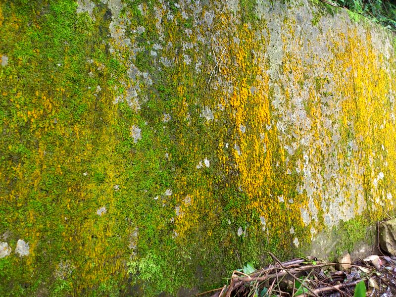 «ö¦¹¦b·sµøµ¡ÂsÄý¹Ï¤ù