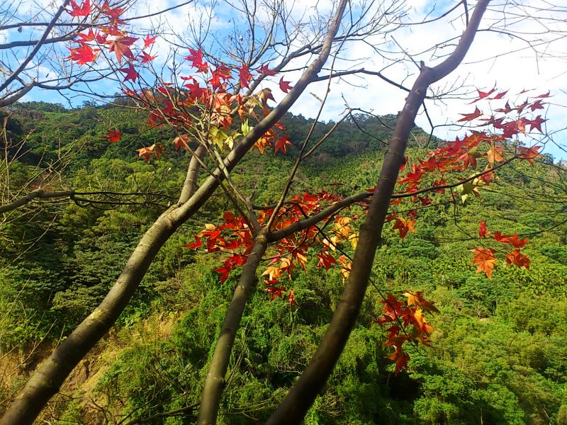 «ö¦¹¦b·sµøµ¡ÂsÄý¹Ï¤ù