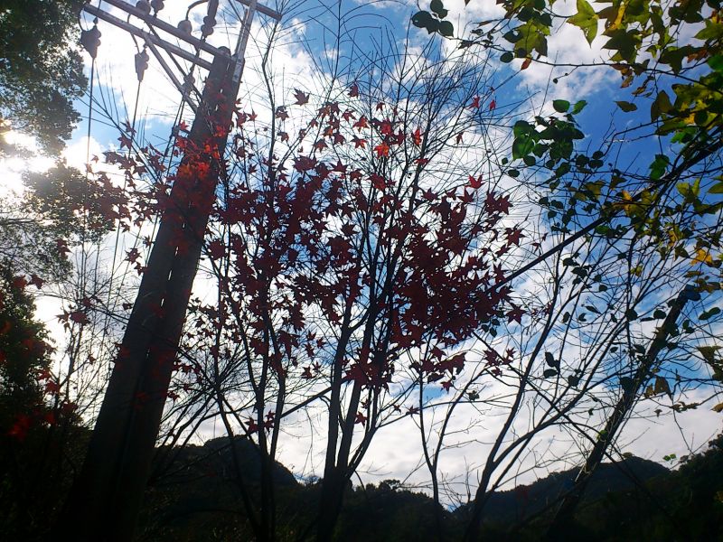 «ö¦¹¦b·sµøµ¡ÂsÄý¹Ï¤ù