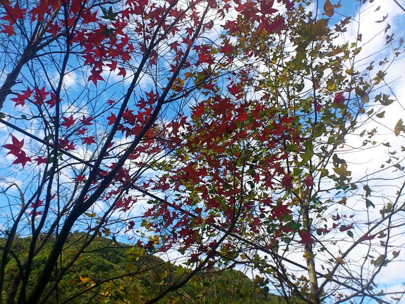 «ö¦¹¦b·sµøµ¡ÂsÄý¹Ï¤ù