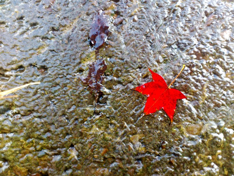 «ö¦¹¦b·sµøµ¡ÂsÄý¹Ï¤ù