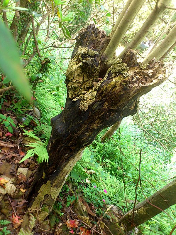 «ö¦¹¦b·sµøµ¡ÂsÄý¹Ï¤ù