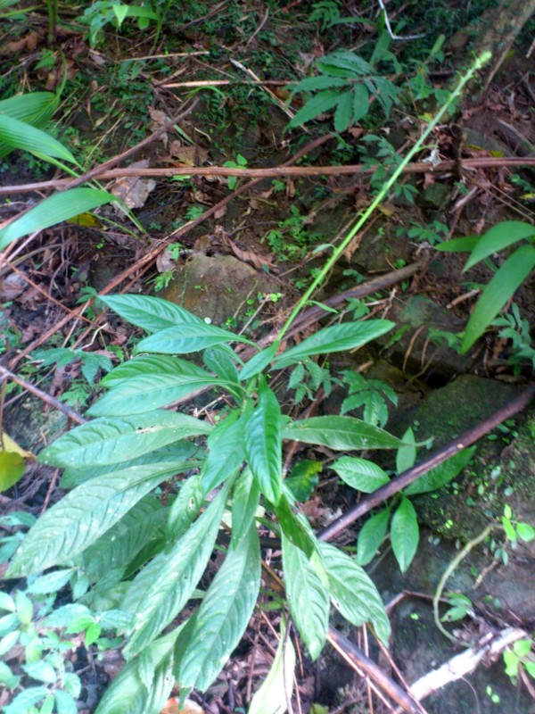 «ö¦¹¦b·sµøµ¡ÂsÄý¹Ï¤ù