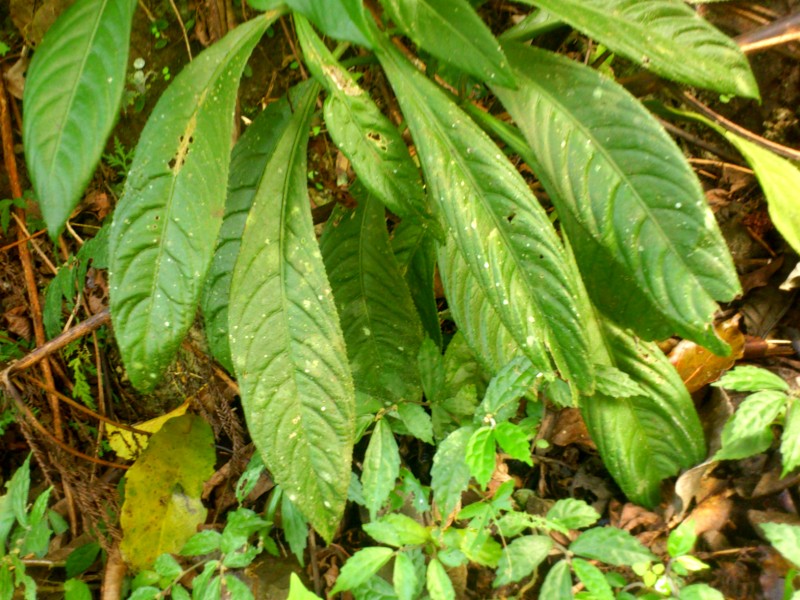 «ö¦¹¦b·sµøµ¡ÂsÄý¹Ï¤ù