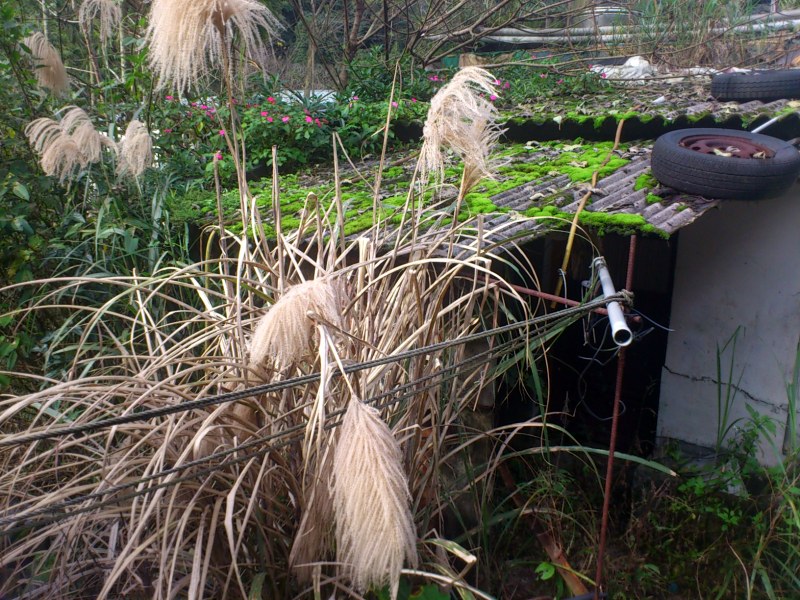 «ö¦¹¦b·sµøµ¡ÂsÄý¹Ï¤ù