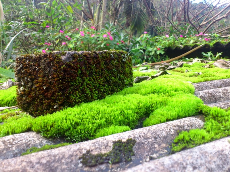 «ö¦¹¦b·sµøµ¡ÂsÄý¹Ï¤ù