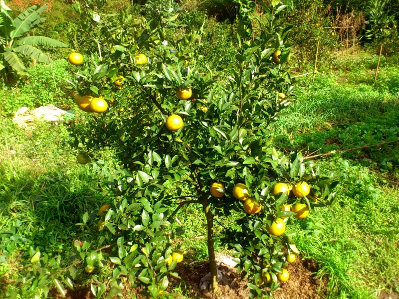 «ö¦¹¦b·sµøµ¡ÂsÄý¹Ï¤ù