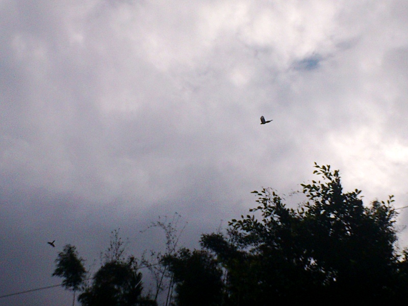 «ö¦¹¦b·sµøµ¡ÂsÄý¹Ï¤ù