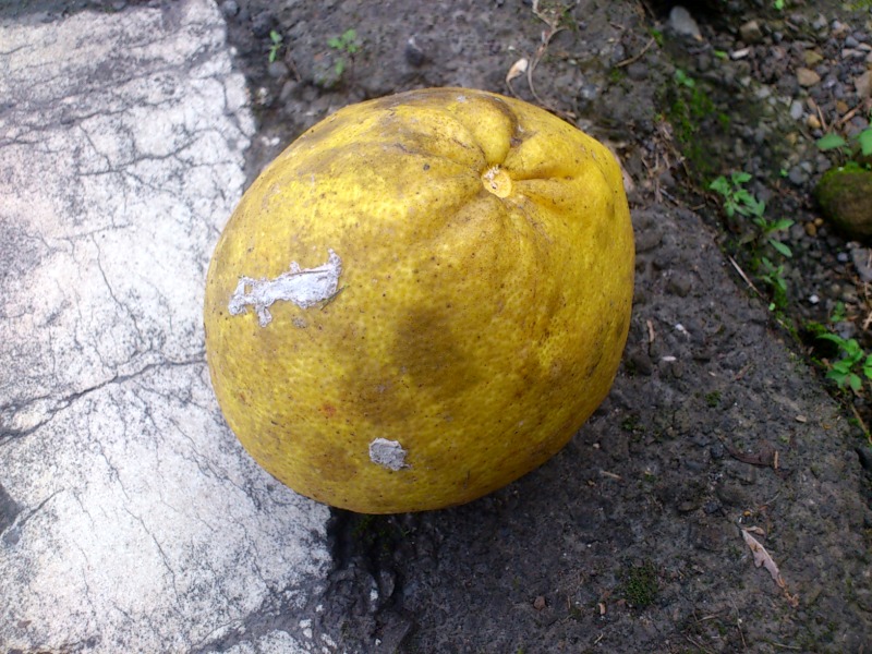 «ö¦¹¦b·sµøµ¡ÂsÄý¹Ï¤ù