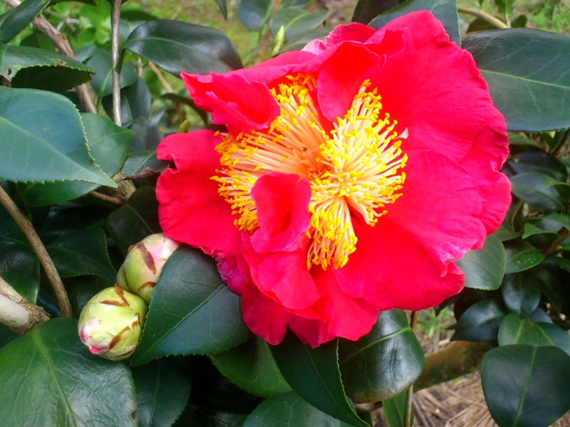 «ö¦¹¦b·sµøµ¡ÂsÄý¹Ï¤ù