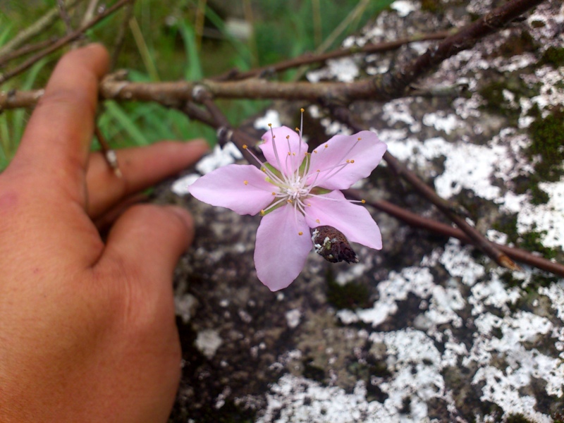 «ö¦¹¦b·sµøµ¡ÂsÄý¹Ï¤ù