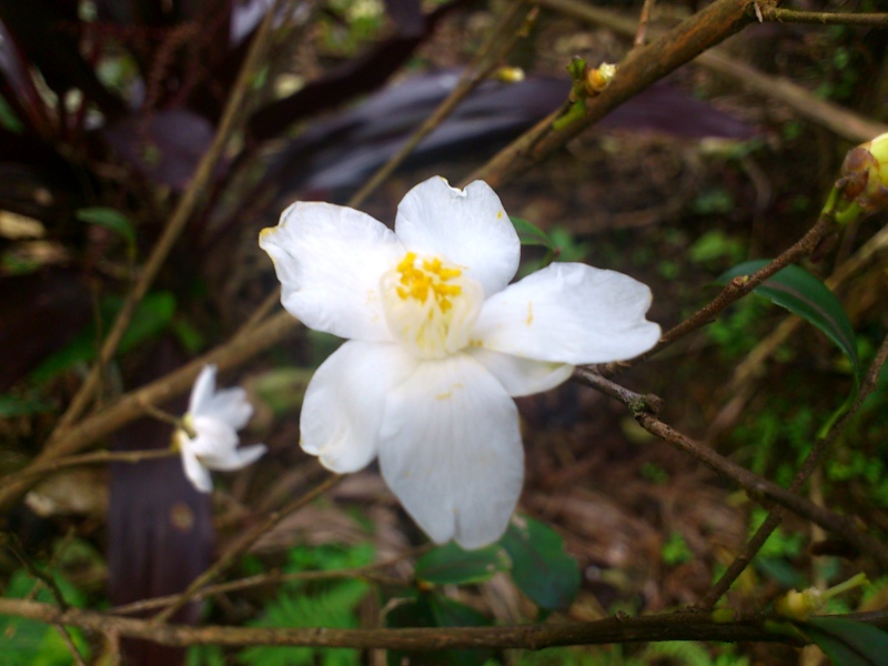 «ö¦¹¦b·sµøµ¡ÂsÄý¹Ï¤ù