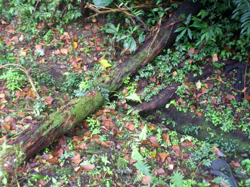 «ö¦¹¦b·sµøµ¡ÂsÄý¹Ï¤ù