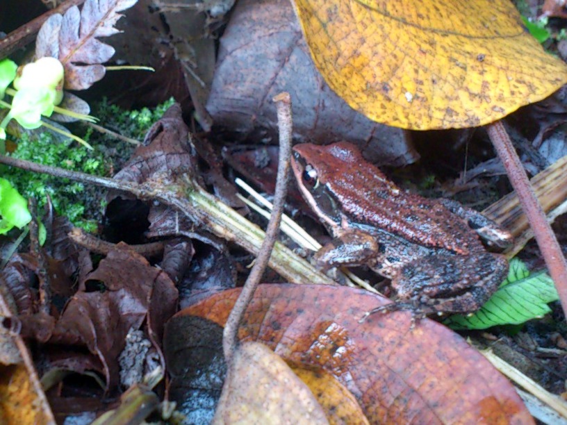 «ö¦¹¦b·sµøµ¡ÂsÄý¹Ï¤ù