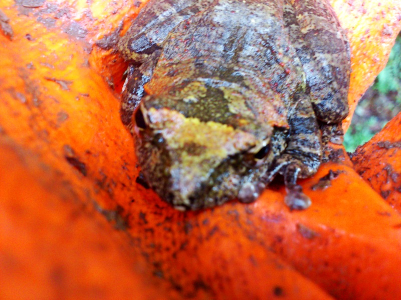 «ö¦¹¦b·sµøµ¡ÂsÄý¹Ï¤ù