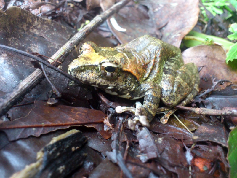 «ö¦¹¦b·sµøµ¡ÂsÄý¹Ï¤ù