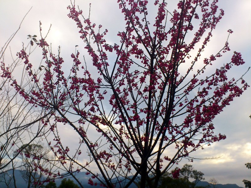 «ö¦¹¦b·sµøµ¡ÂsÄý¹Ï¤ù