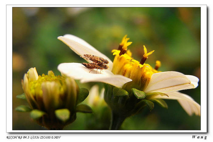 «ö¦¹¦b·sµøµ¡ÂsÄý¹Ï¤ù