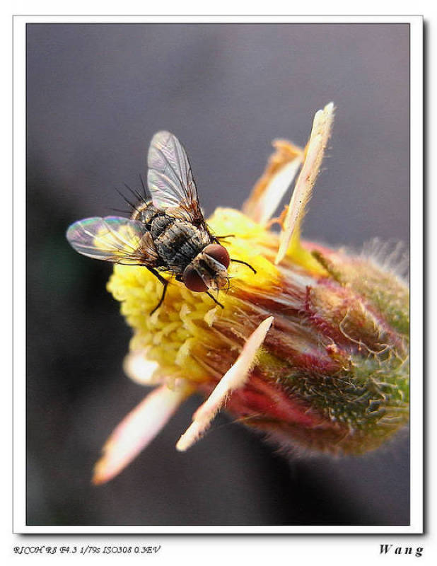 «ö¦¹¦b·sµøµ¡ÂsÄý¹Ï¤ù