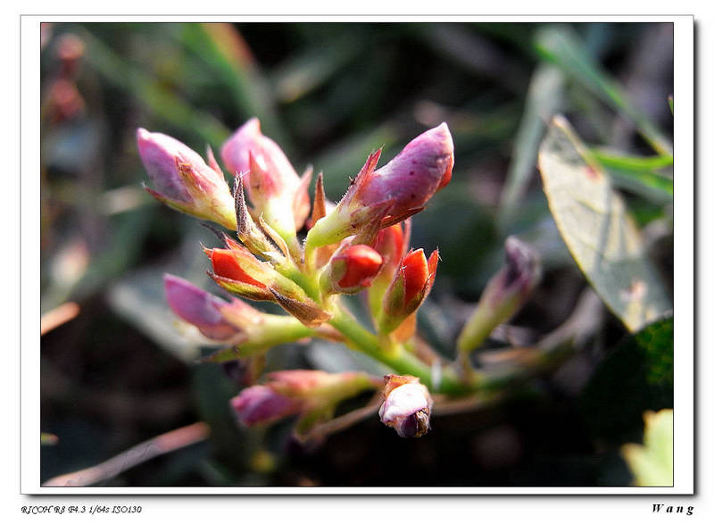 «ö¦¹¦b·sµøµ¡ÂsÄý¹Ï¤ù