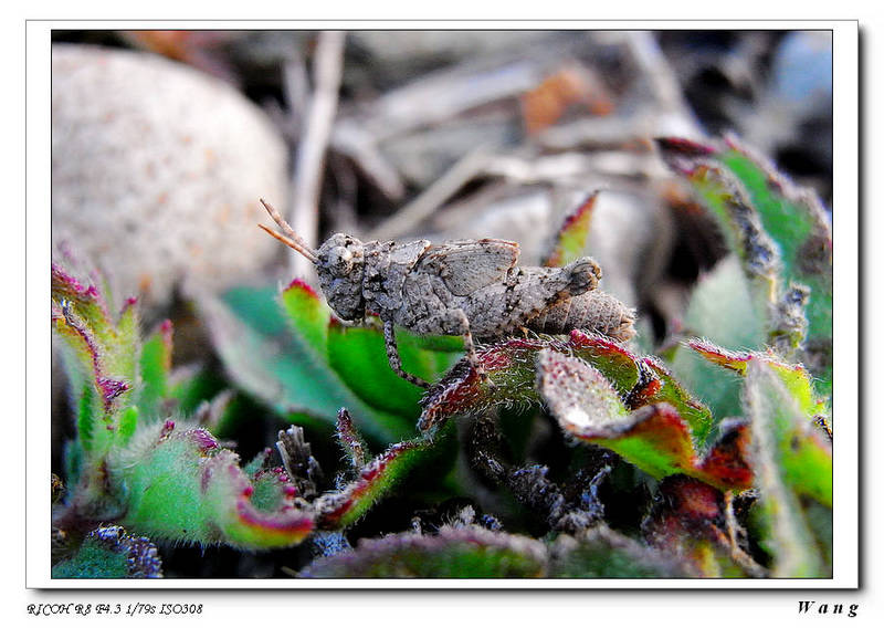 «ö¦¹¦b·sµøµ¡ÂsÄý¹Ï¤ù