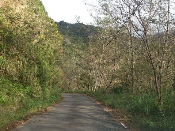 «ö¦¹¦b·sµøµ¡ÂsÄý¹Ï¤ù